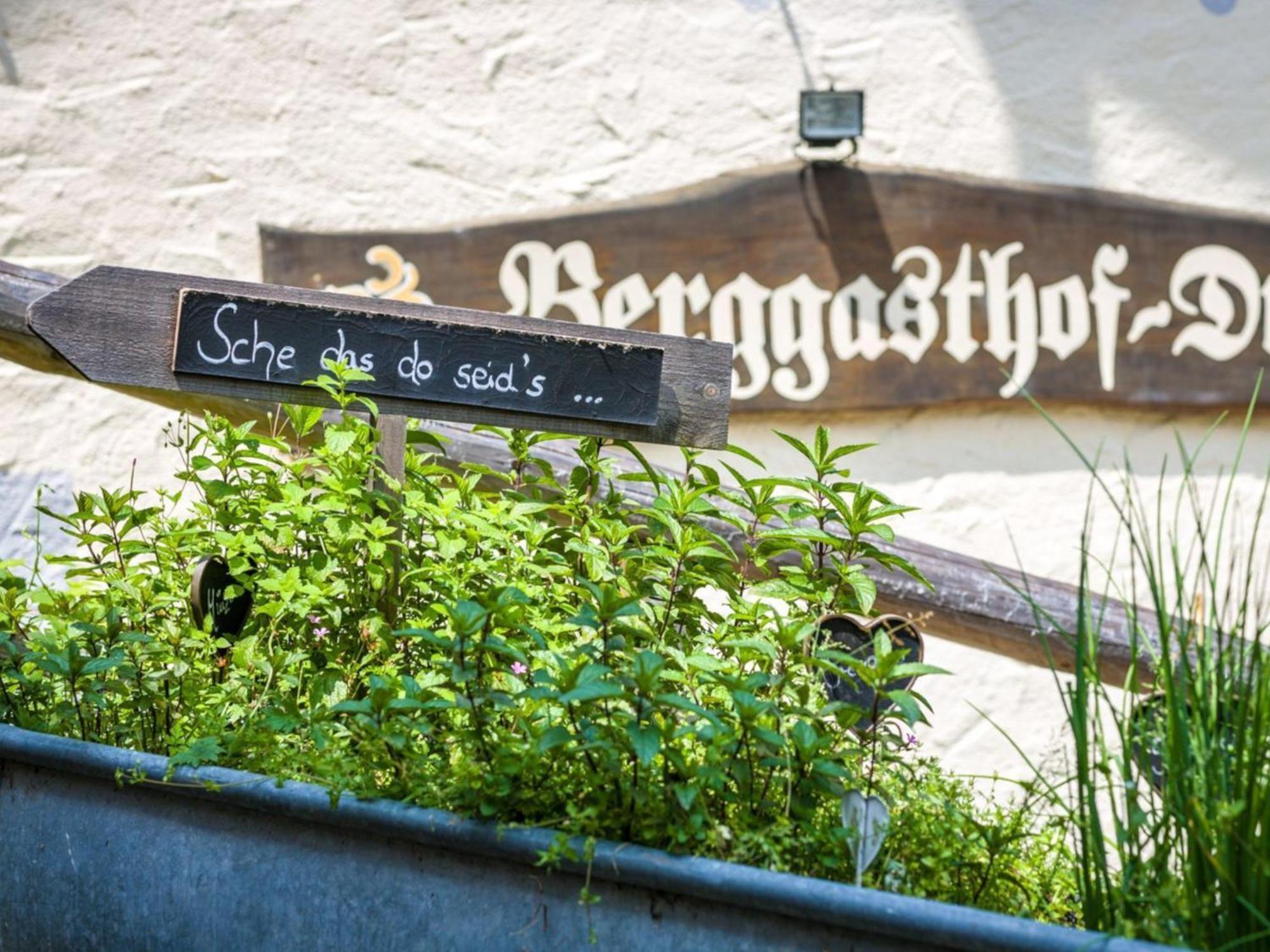 Berggasthof Hotel Duftbraeu I Ruhige Alleinlage I Mitten Im Gruenen 자마베르크 외부 사진
